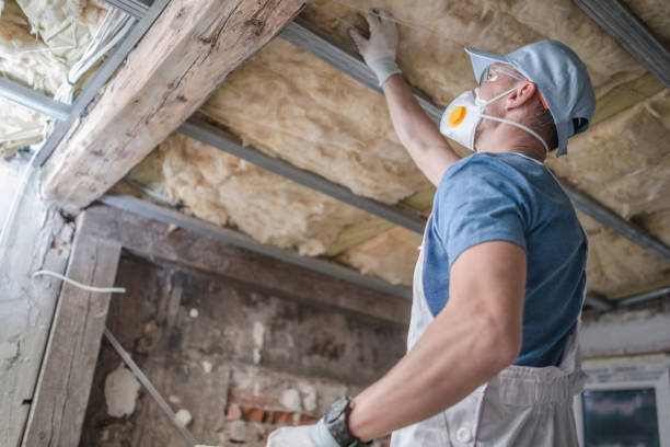 Best Eco-Friendly Insulation in Warrington, FL