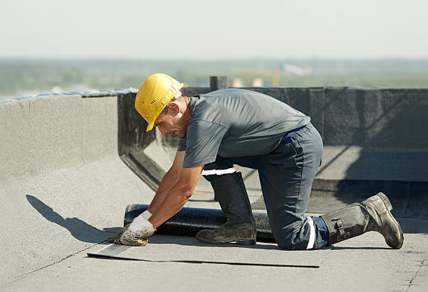 Best Cellulose Insulation in Warrington, FL