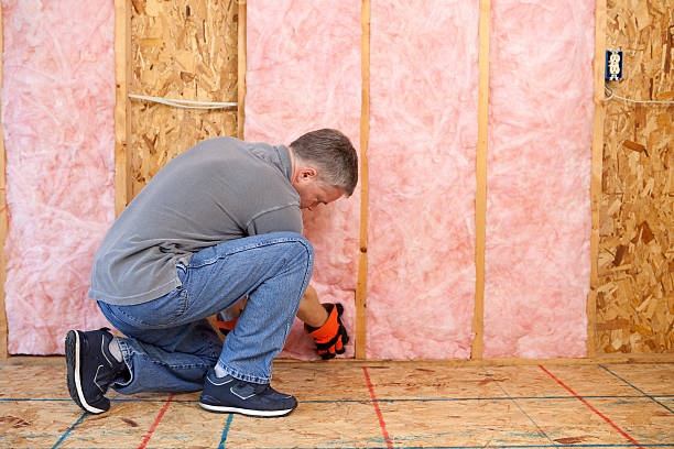 Types of Insulation We Offer in Warrington, FL