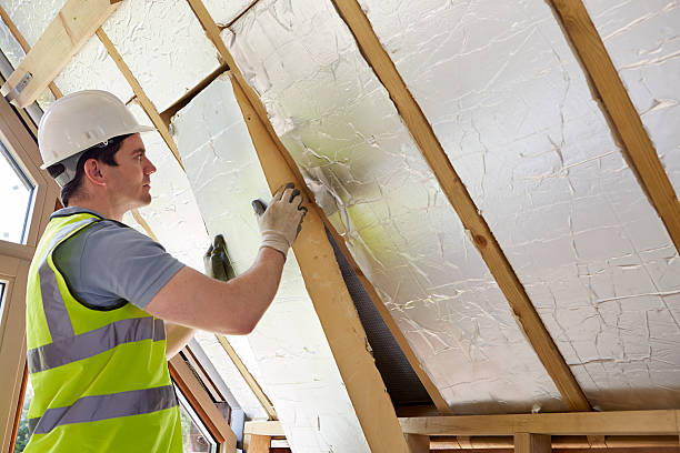 Best Residential Insulation in Warrington, FL
