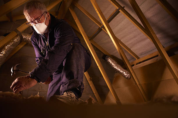 Best Eco-Friendly Insulation in Warrington, FL